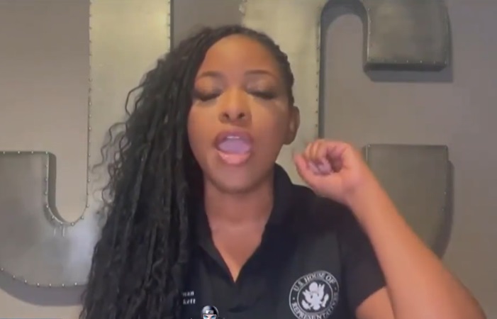 Rep. Crockett slammed for claiming Dems take care of Americans