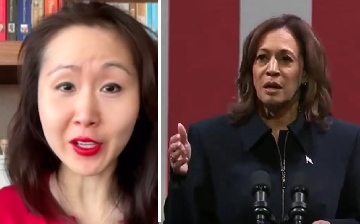 ‘I can finally tell the truth…’ – DNC official feels liberated after Kamala lost election