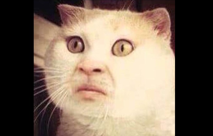 Mom jailed for sleeping with daughter’s high school boyfriends years ago