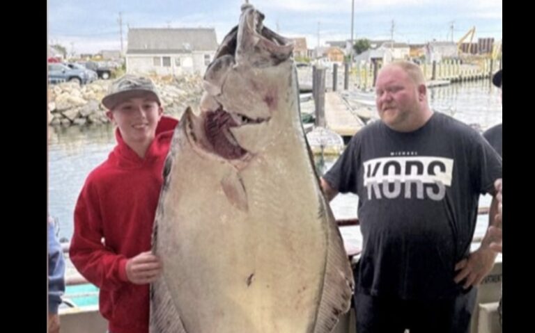 New Hampshire teen catches 177lb halibut